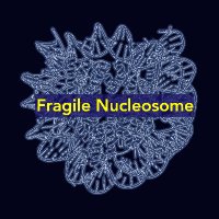 FragileNucleosome (@fnucleosome) 's Twitter Profile Photo FragileNucleosome (@fnucleosome) 's Twitter Profile Photo