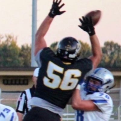 Danny Norocea Profile