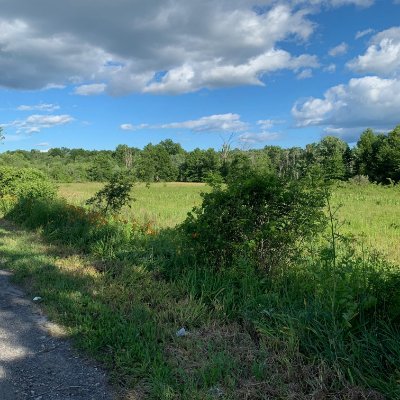 Historian of one of North America's UFO hotspots. Concentrating on documenting anomalies from Middletown to Accord in the Hudson Valley, New York State.