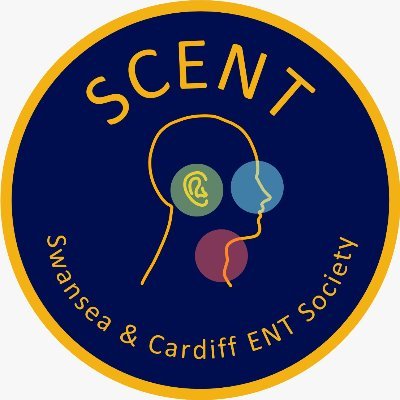 SENTSoc aim to bring collaborative ENT events for medical students and foundation doctors including the Welsh National ENT Teaching Series.