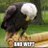RIPUSA17762020's profile image