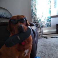 J Marsh (@shefpan) 's Twitter Profile