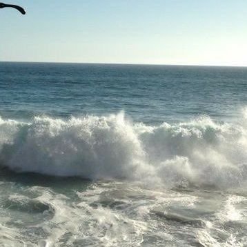 freetodreamE's profile picture. 🌈