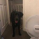 Tom - @ThomasAaron09 - Twitter