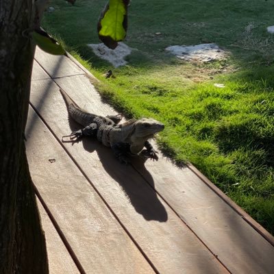 McrSamy15's profile picture. Asdfs