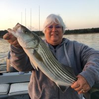 Pamela Lippert (@plippert1) 's Twitter Profile Photo