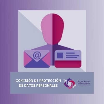 Comisión de Protección de Datos Personales del Sistema Nacional de Transparencia, Acceso a la Información Pública y Protección de Datos Personales.