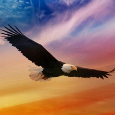 ✝️🇺🇸🏕⚔️🐕 God fearing 2nd Amdt American Patriot.