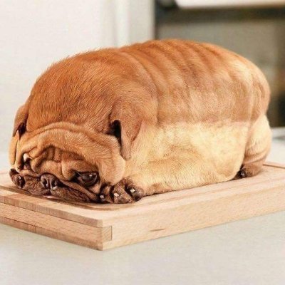 BreadGambling Profile Picture