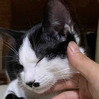 アイオーン on Twitter