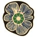 Decriminalize Nature CA (@decrimnatureca) Twitter profile photo Decriminalize Nature CA (@decrimnatureca) Twitter profile photo