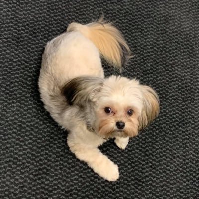 Hey_its_Janey's profile picture. I ❤️⚽️⚒🚴🏼‍♀️