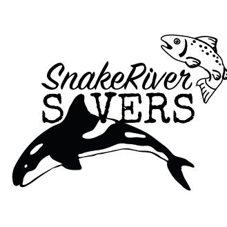 Orcas are starving. Join us in compelling our representatives to breach the lower Snake River Dams, increasing salmon runs.