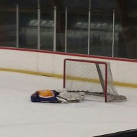 oli on hockey 🏳️‍🌈🏳️‍⚧️(@himbeaux_on_ice) 's Twitter Profile Photo