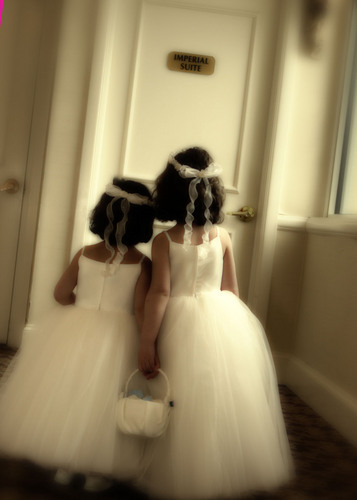 Voted Best of Weddings by the Knot five years in a row!
