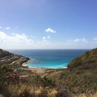 Doraemon (@litedoraemonx) 's Twitter Profile