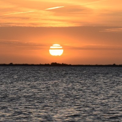 Tammy99806460's profile picture. Photographer, Artist, Painter.