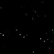 nonbinarycat0's profile picture. im just a person