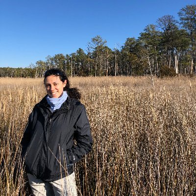 PhD candidate @VIMS_news | alum @BrownGeoSci | marsh ecogeomorphology | coastal resilience & nature-based solutions | traded my rock hammer for muck boots