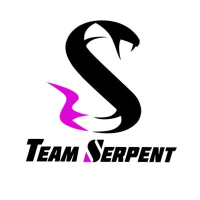 SERPENT e-sports/SPT 🐍さんのプロフィール画像