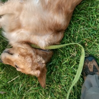 MallaceVincent's profile picture. 