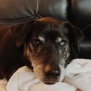 sara - @Sara_Mosher12 - Twitter