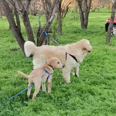 mateoymaite12's profile picture. Charly