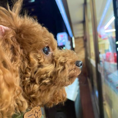 Michelle 医療英語を喋れるようにと目指している人はあまりいないのかな 仲間が欲しい 刺激し合える仲間がいたら モチベーションも維持できると思う 決して今モチベーションが落ちてるわけでは無いですけどね むしろ向上心の塊 英語 医療英語 Michelle 医療英語を喋れるようにと目指している人はあまりいないのかな 仲間が欲しい 刺激し合える仲間がいたら モチベーションも維持できると思う 決して今モチベーションが落ちてるわけでは無いですけどね むしろ向上心の塊 英語 医療英語
