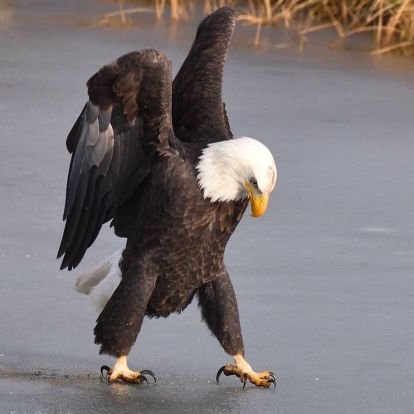 jNHCYpsGuyIQzUA's profile picture. 没文化