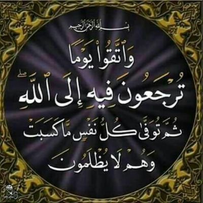 النسر لا يطارد الذباب