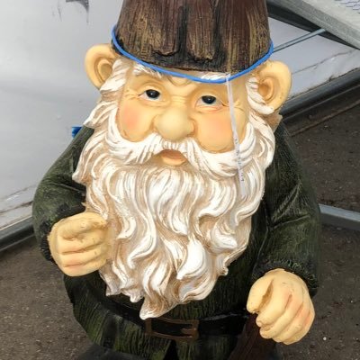 GoPack_81's profile picture. 