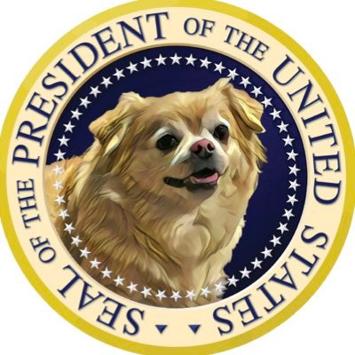 the 40-THICC President of the United States | pronouns: He/Thicc