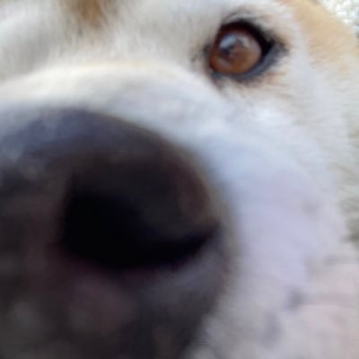 skdhRolILqxxhvd's profile picture. テスト