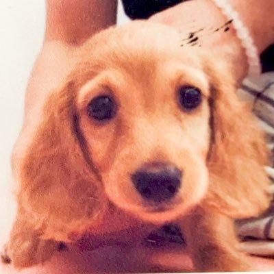 岡山でサバゲする百合豚。山で森の精になりますCQBも好き。 FPSと音ゲと釣りとアニメと写真とるのが好き。タバコは吸わないけどVAPEめちゃくちゃ好き。ロードバイクでウロウロしたり坂を登ったりします。