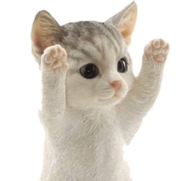 取り柄なし