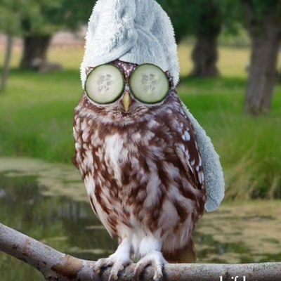 SJo9fVB227UYDlg's profile picture. Книжный червь, интроверт, романтик