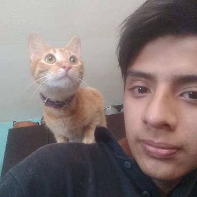 CNos4a2's profile picture. Yo soy CoD Mobile de Corazón
Amo de los gatos