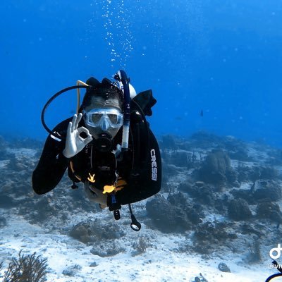 vmanuelmtz's profile picture. 