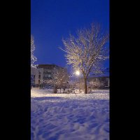 Ichbingozde (@ichbingozde) Twitter profile photo