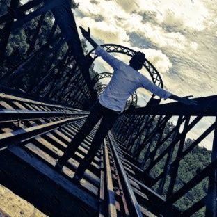 reallion09's profile picture. 