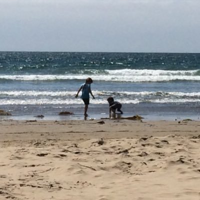 Wife, Mother, Permaculture and Holistic Management Advocate, Communications Director for State Assembly Candidate, Volunteer, Activist