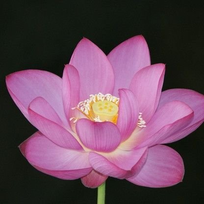 YUKIRM_readbook's profile picture. 読書記録