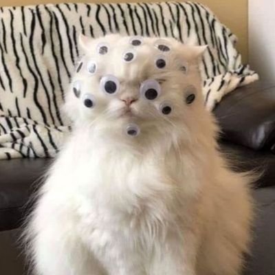 Reina40392740's profile picture. 