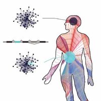 Weatheritt Lab (@neuro_rna) 's Twitter Profile