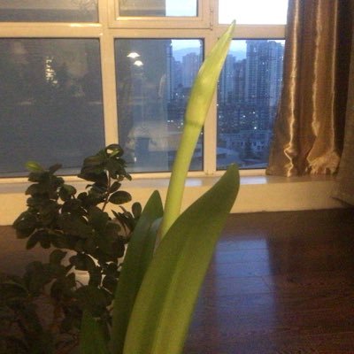 beizhao11's profile picture. 