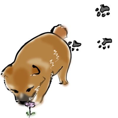 犬好き🐶🍜好き。下アカと小遣いアカはブロックします🥦ＰＲしたい事は今のところ特に梨🍐時々SNSから距離置きます🐟面白い事大好き♪