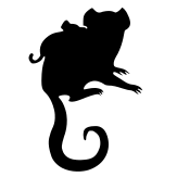 Evolutionary Cognition Group (@evocoggroup) 's Twitter Profile