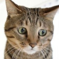 h (@h94597453) 's Twitter Profile Photo