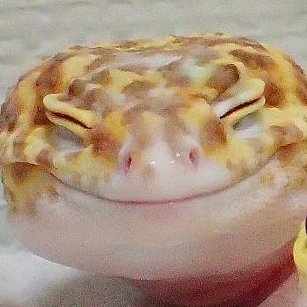 just a jek_Oさんのプロフィール画像