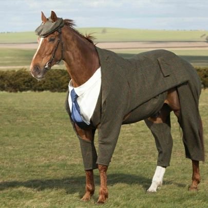 YHerdmane's profile picture. 